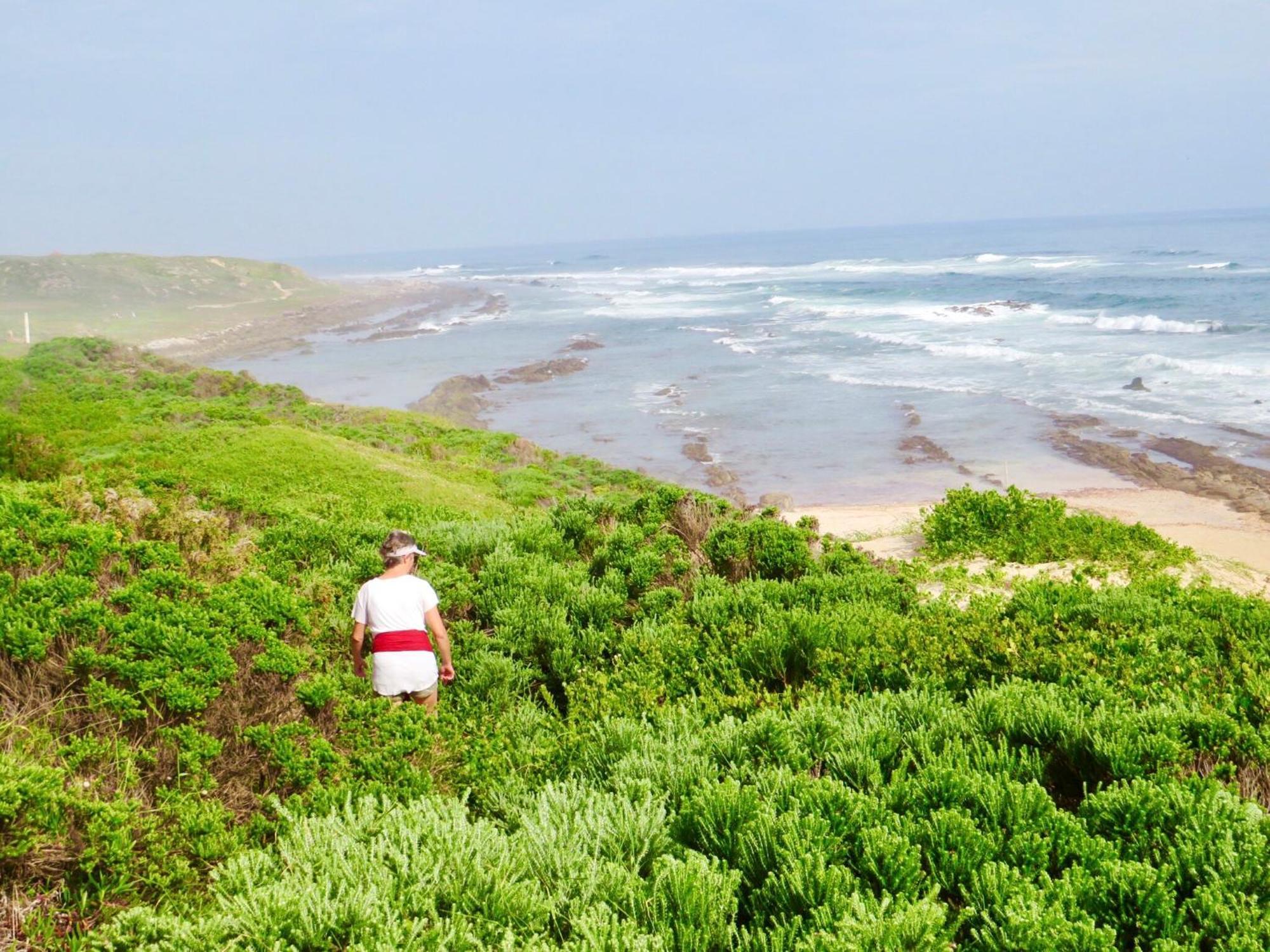 Whistlewood Guesthouse Walmer, Port Eizabeth بورت اليزابيث المظهر الخارجي الصورة