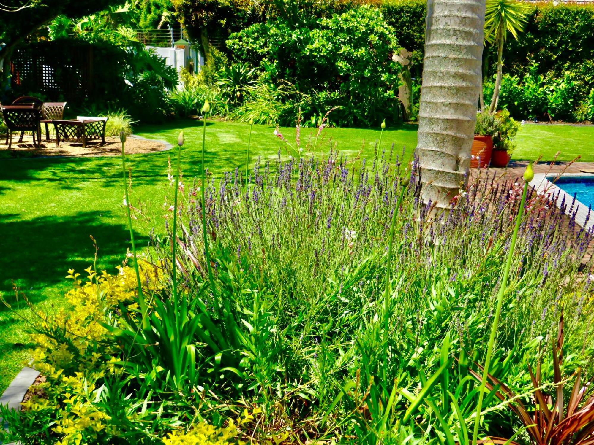 Whistlewood Guesthouse Walmer, Port Eizabeth بورت اليزابيث المظهر الخارجي الصورة