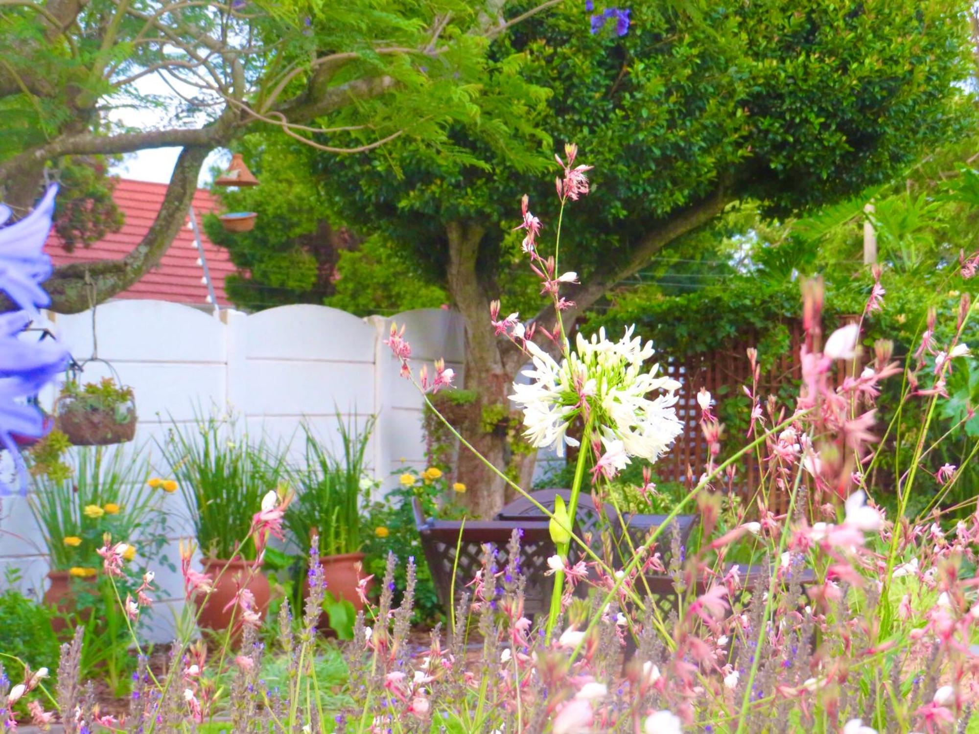 Whistlewood Guesthouse Walmer, Port Eizabeth بورت اليزابيث المظهر الخارجي الصورة