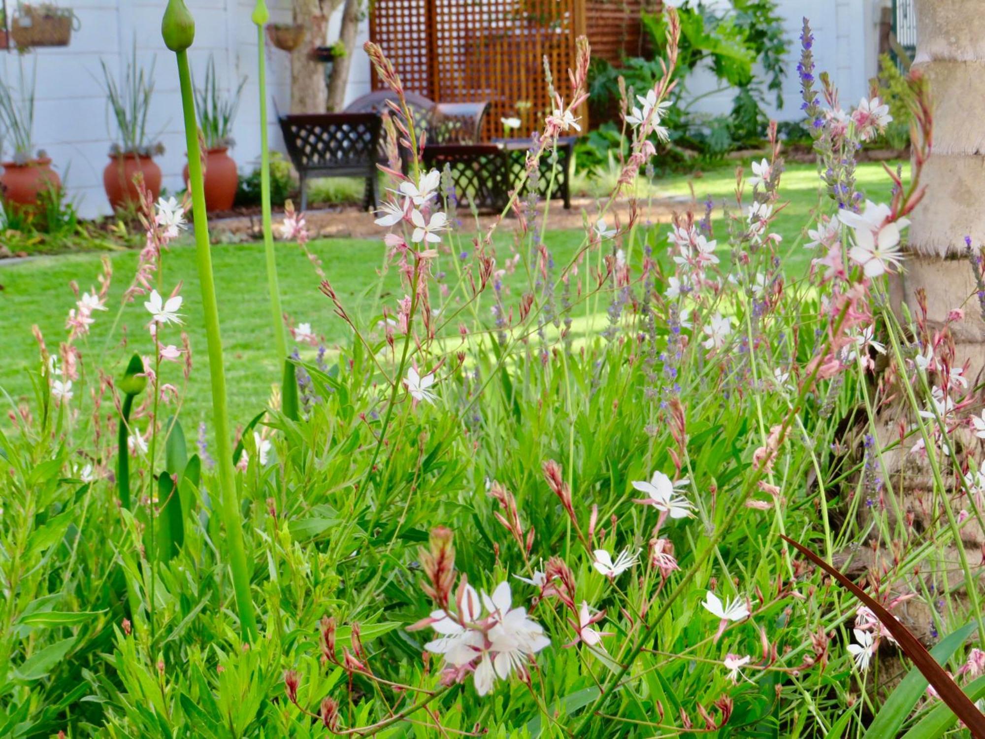Whistlewood Guesthouse Walmer, Port Eizabeth بورت اليزابيث المظهر الخارجي الصورة
