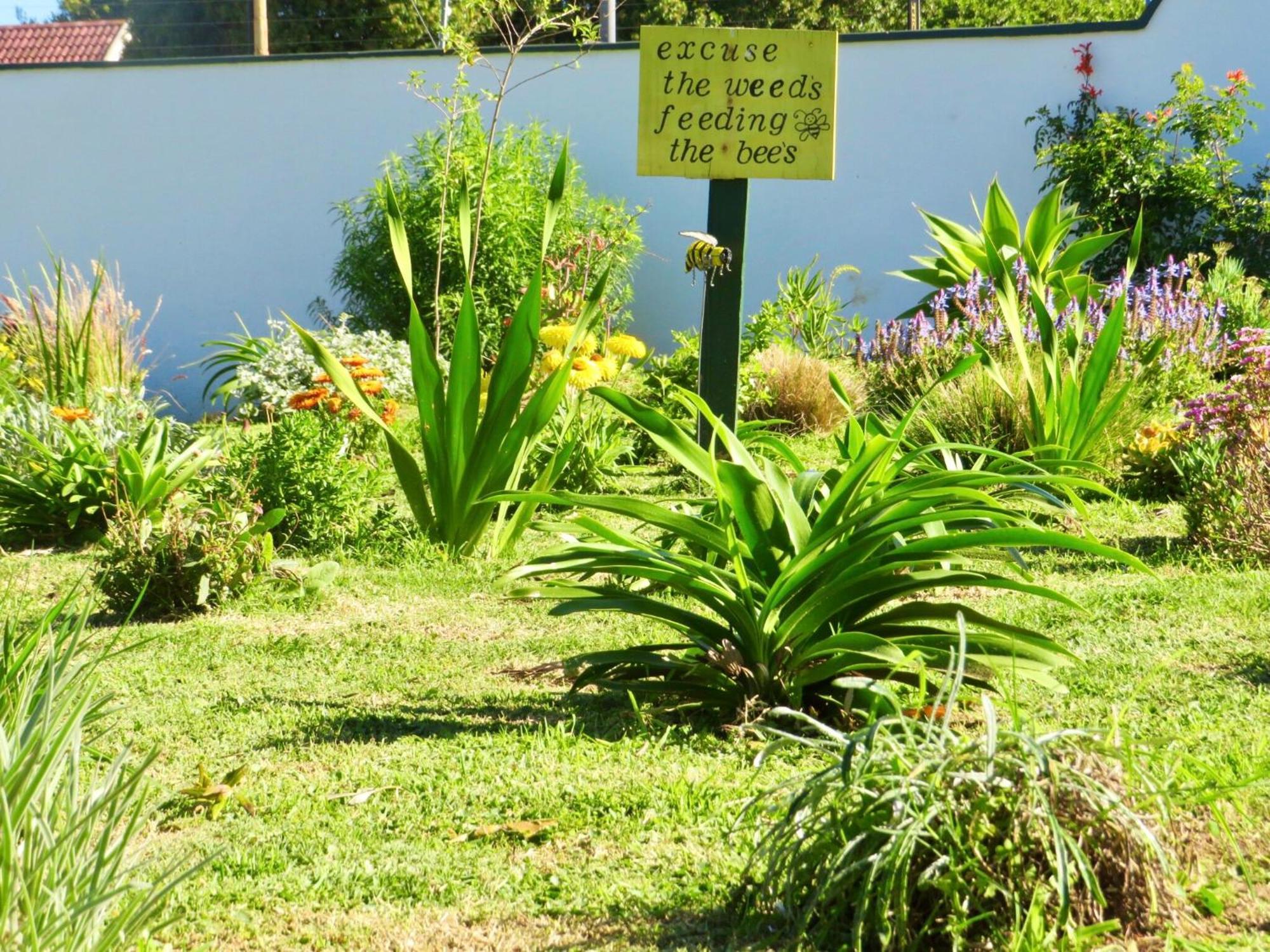 Whistlewood Guesthouse Walmer, Port Eizabeth بورت اليزابيث المظهر الخارجي الصورة