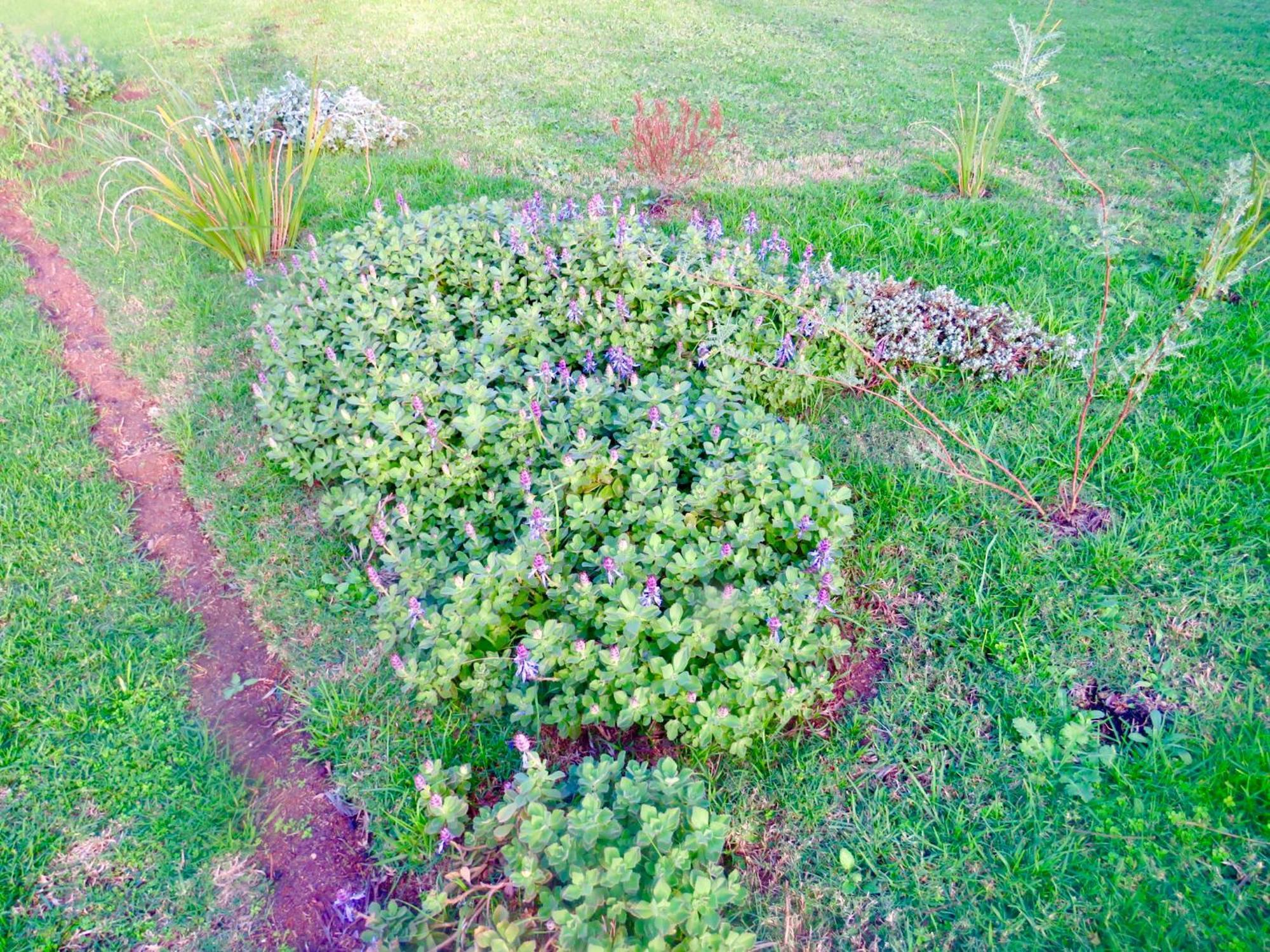 Whistlewood Guesthouse Walmer, Port Eizabeth بورت اليزابيث المظهر الخارجي الصورة